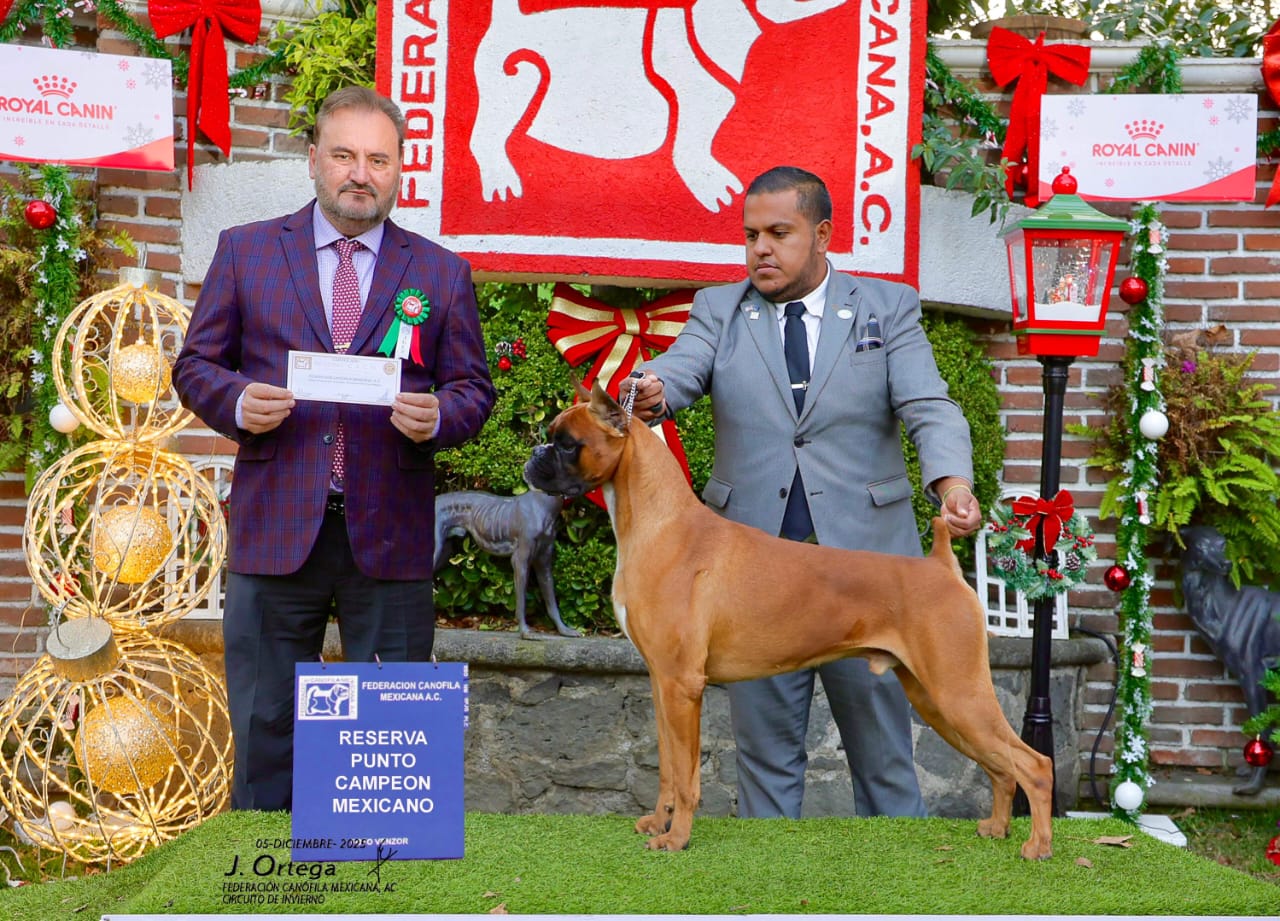 RESERVA PUNTO CAMPEON MEXICANO